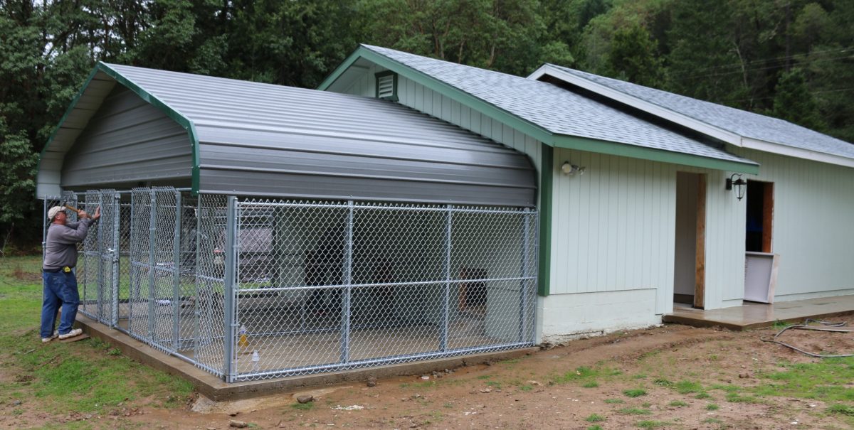 Misc Pictures of our Dogs, Kennel and Surrounding Property